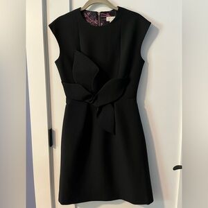 Gorgeous NWT Ted Baker mini dress